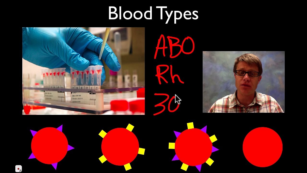 Blood Types