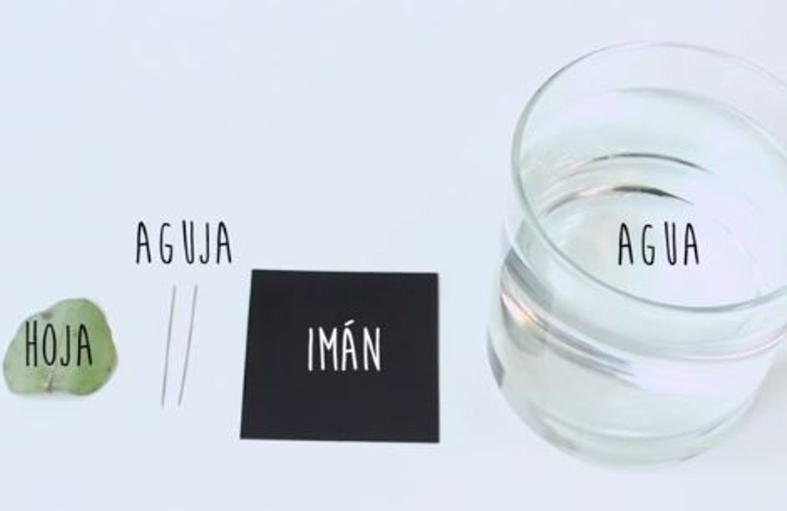 ¿Norte o sur? Crea una brújula de emergencia en tres simples pasos