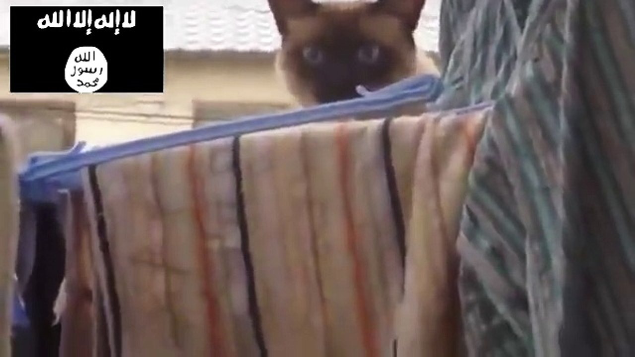 Игиловские подделки агента ФСБ -Ибрашки