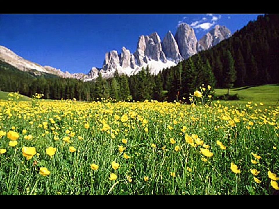 Frei.Wild - Südtirol