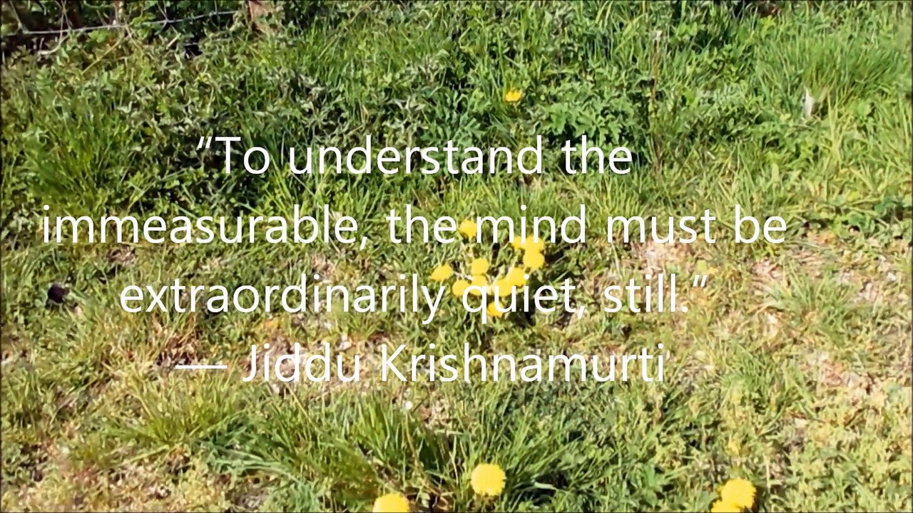 MEDITATION MUSIC ENGLISH MEADOWS