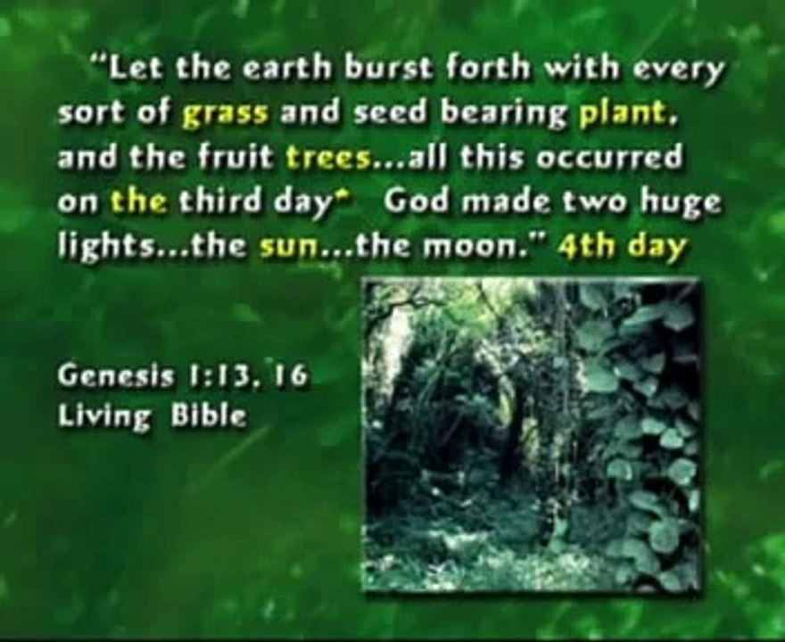 Evolution vs Evolution