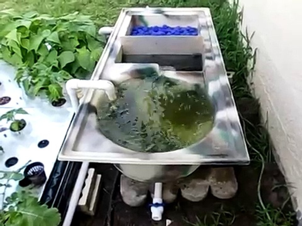 Goponic Aquaponics Filter, Vortex Filter, Swirl Filter, Solid Sediment Filter, 4 stage filtration