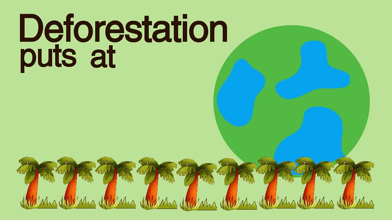 What is Deforestation?