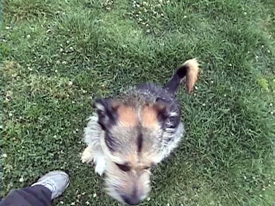 do you wanna be my lover?