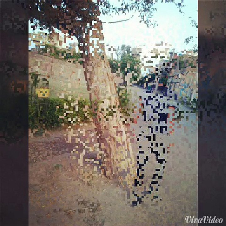 [Trëê sídē flîp]_20141025_212654