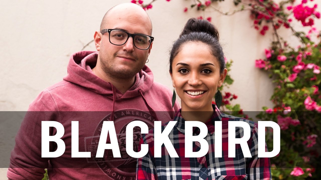 "Blackbird" - The Beatles (Cover by The Covers)