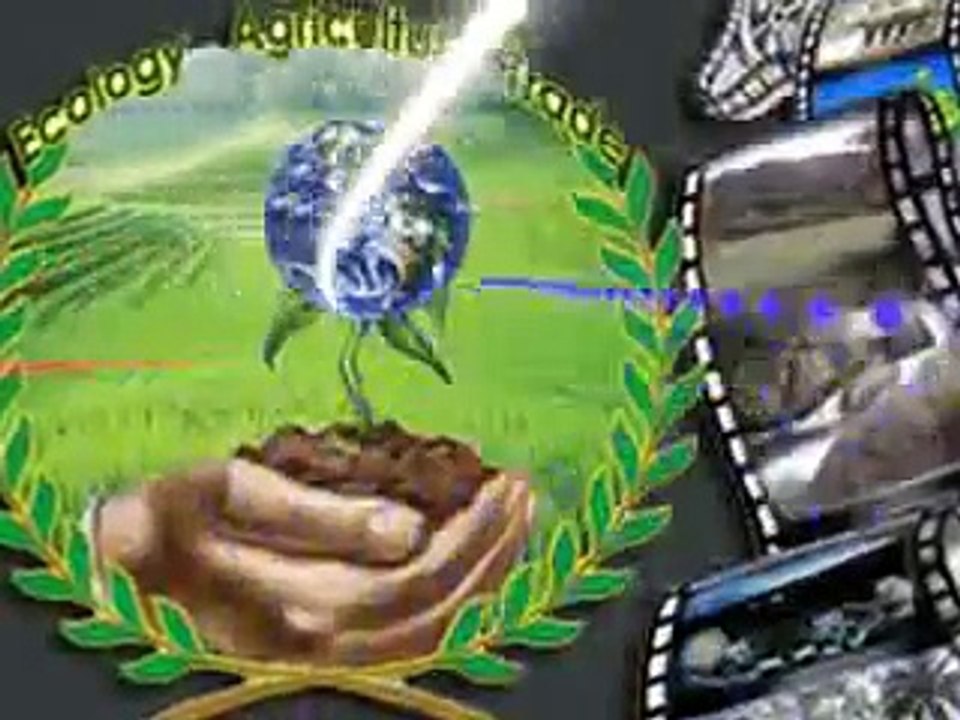 ProjectEAT Feature Film