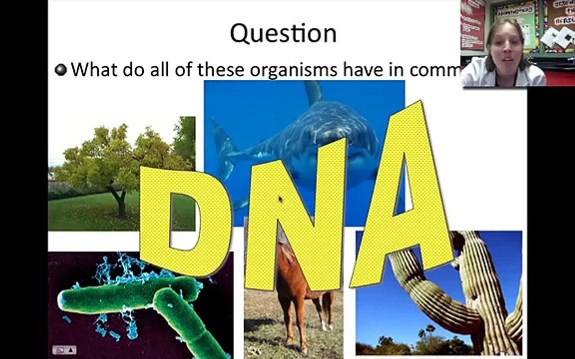 Introduction to Biotechnology