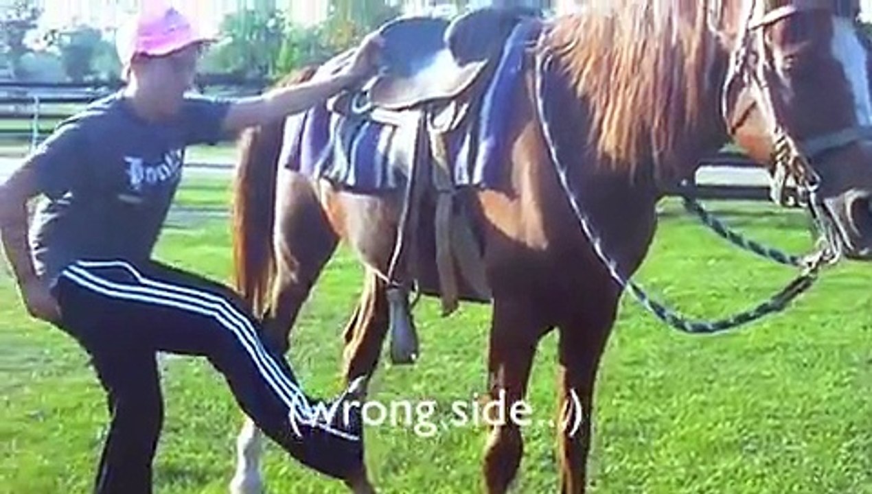 The Different Types of Horse People (Horses #2)