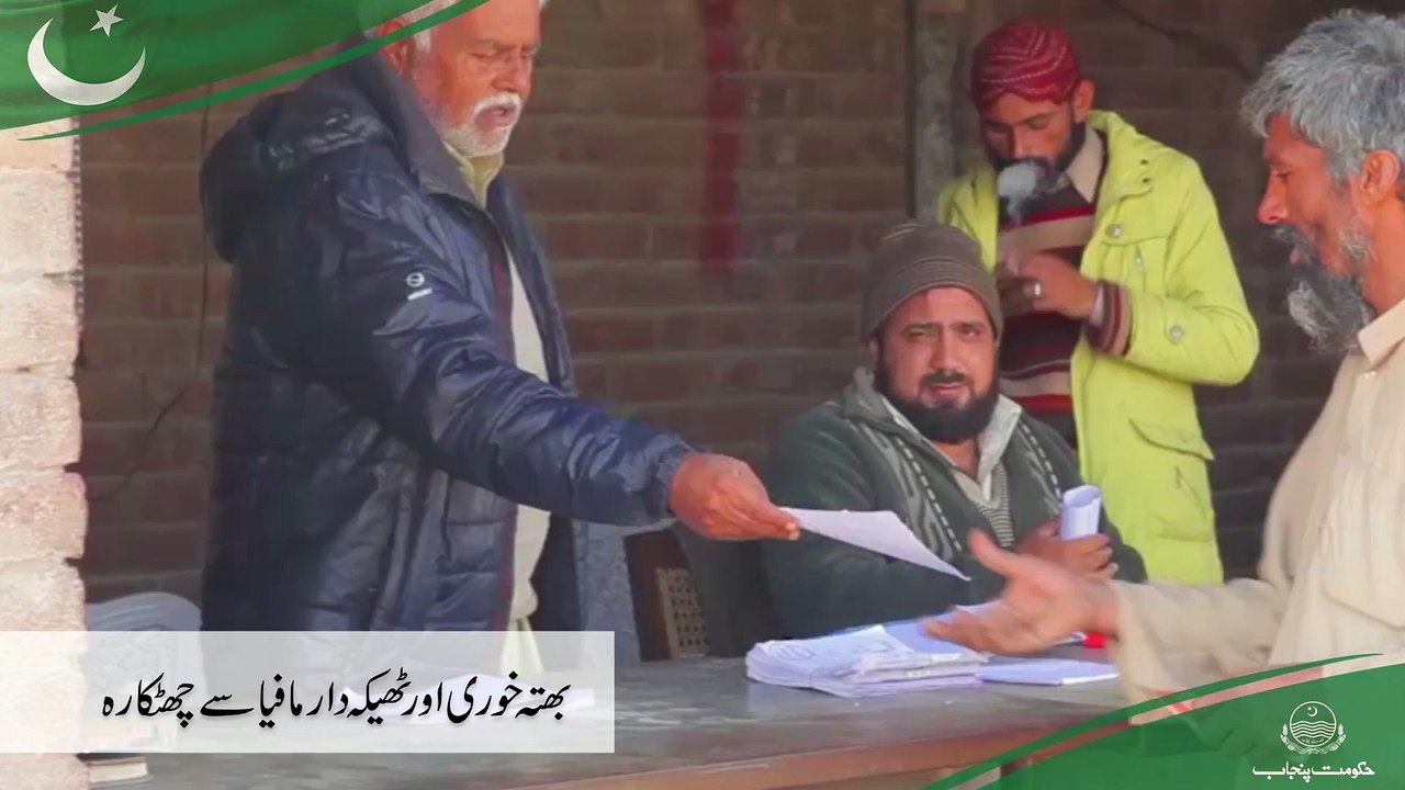 Cattle Market Management Companies