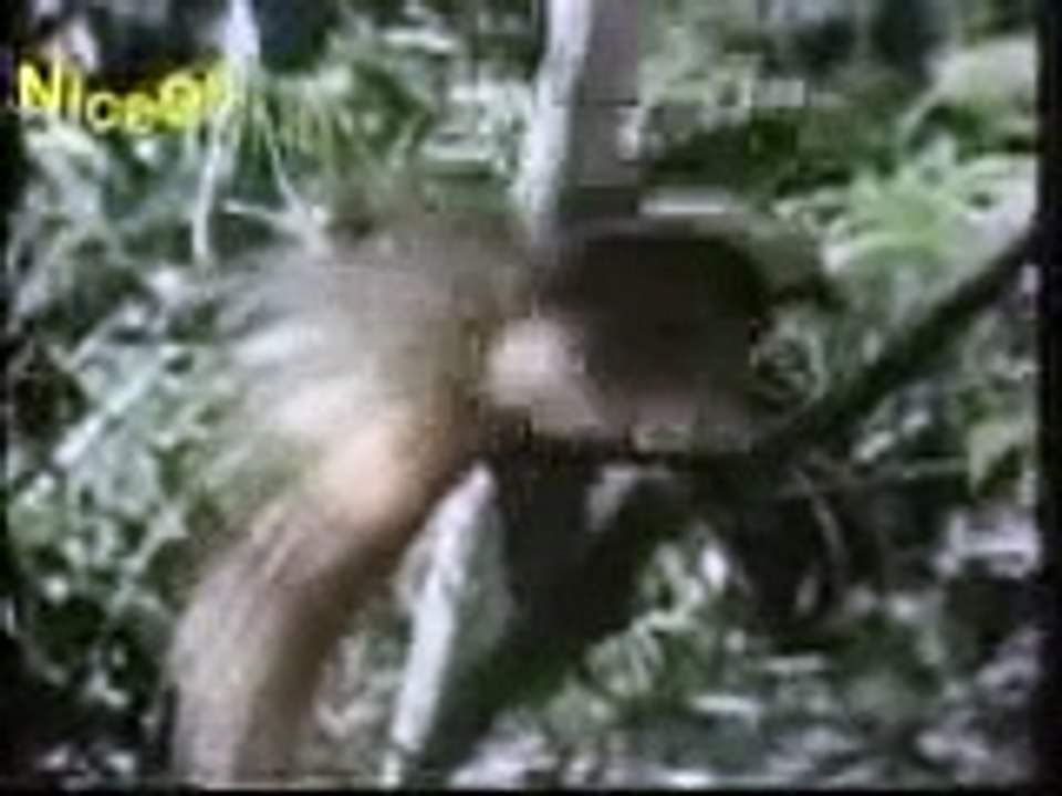 اذان المغرب