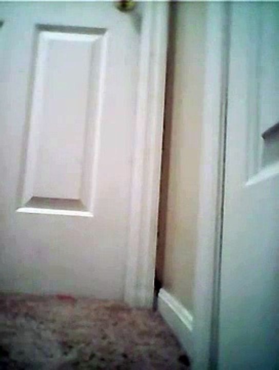 Fresh New Music Release 🎶