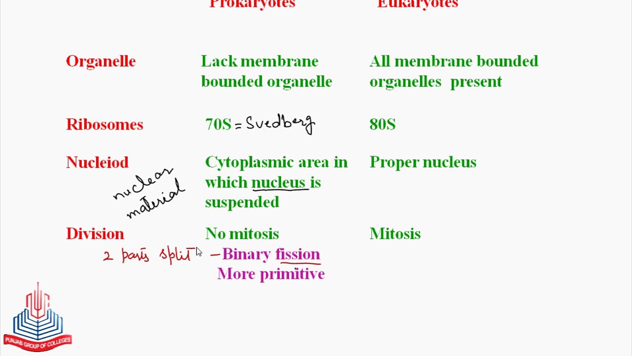 Difference between Prokaryotes & Eukaryotes