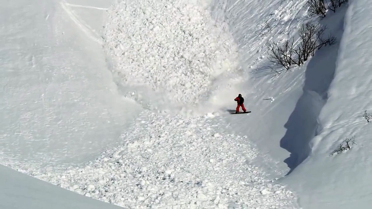 Avalanche! Cours lapin cours!
