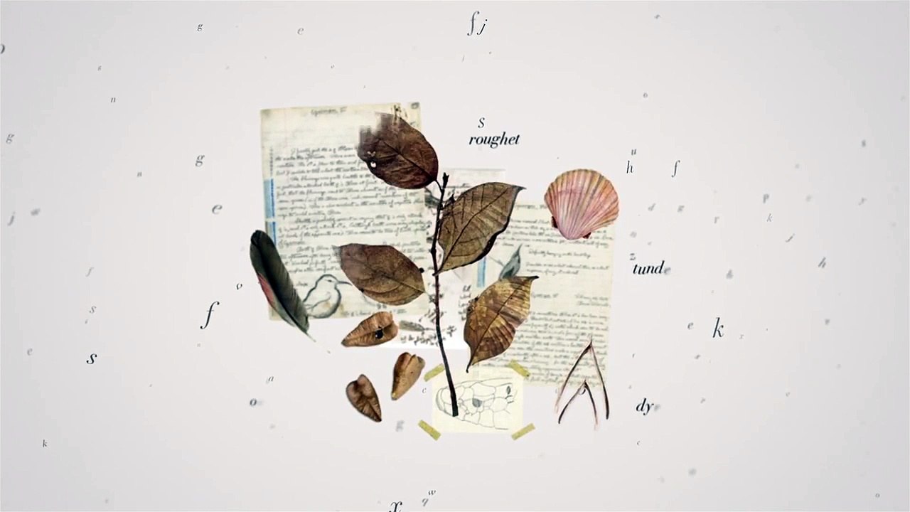 What does language mean to you?