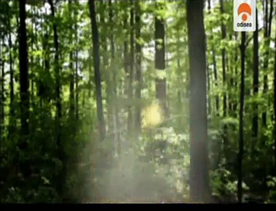 Teletransportación Cuántica