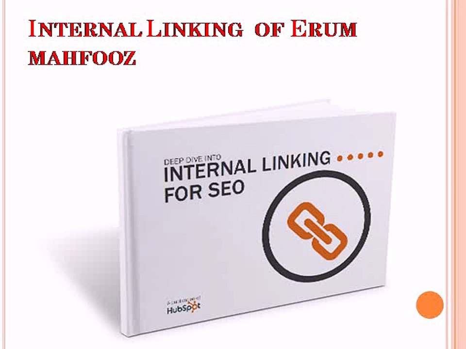 Internal-Linking-of-Erum-mahfooz