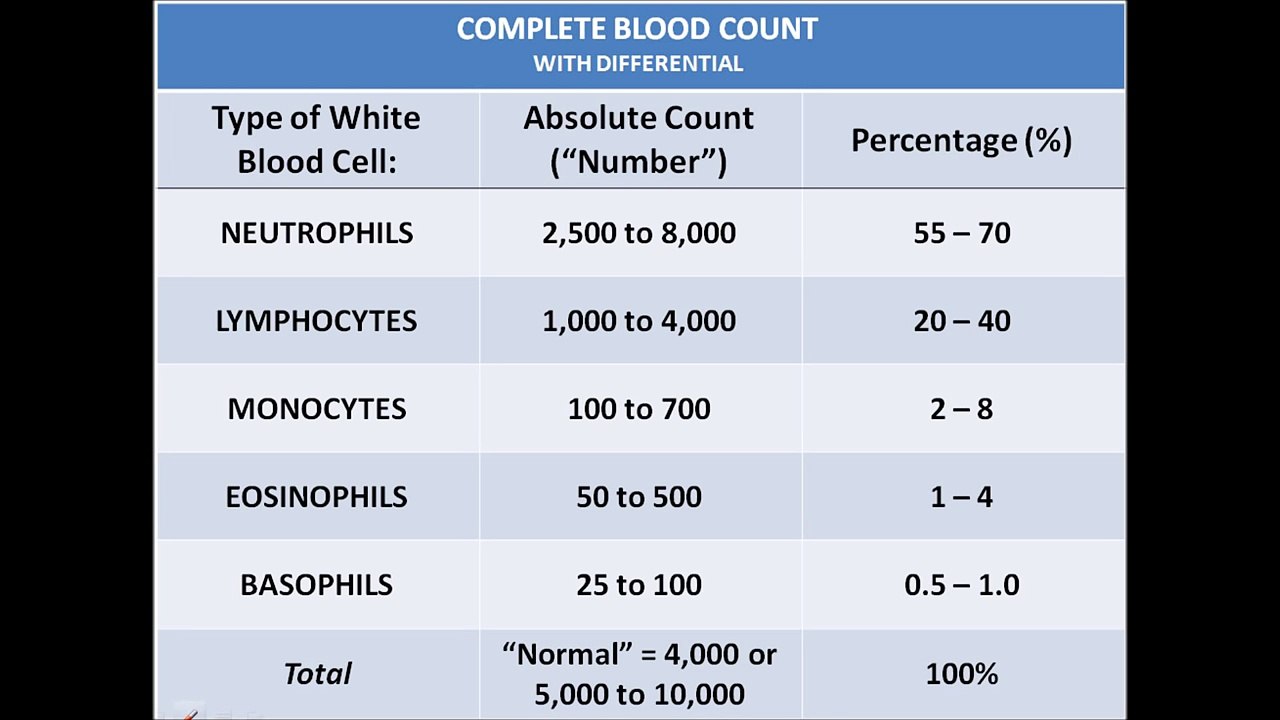 CBC/White Blood Cell Differential - Absolute Count vs. Percentage (%)