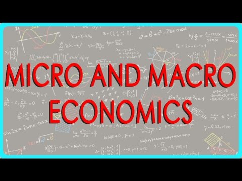 1334.Economics   Class 11 - Micro and Macro economics