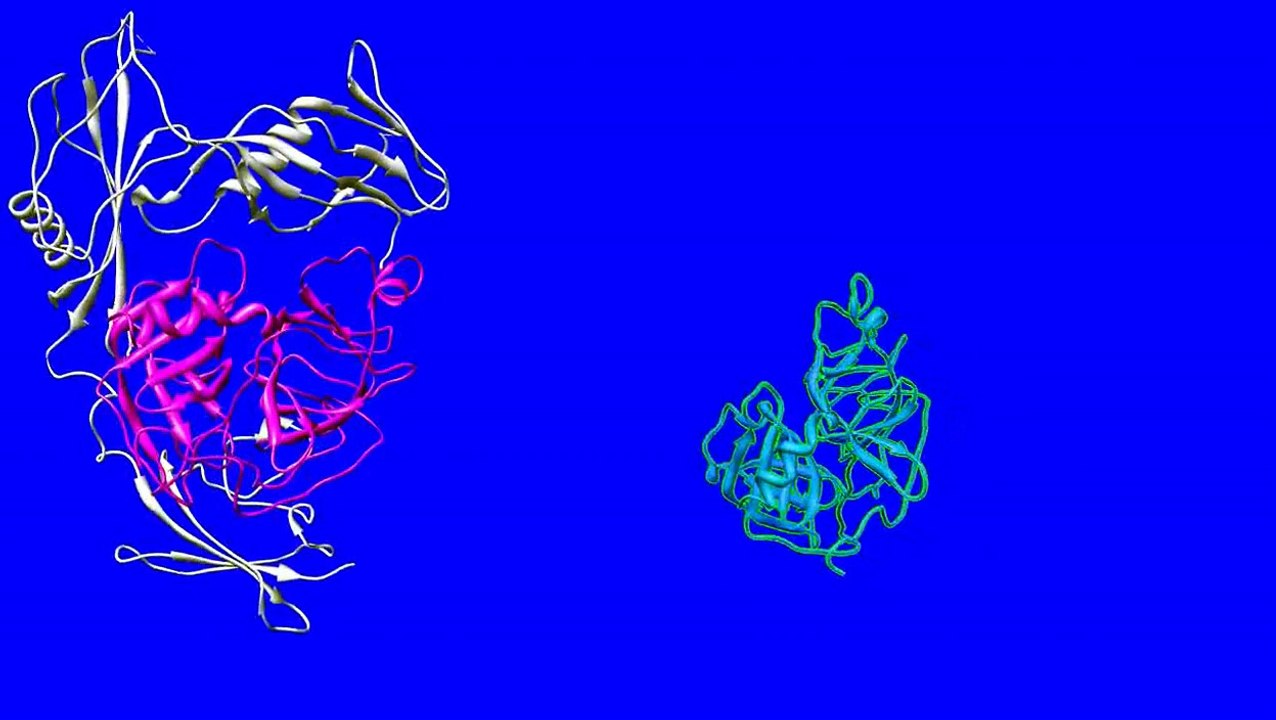 Streptokinase Mechanism