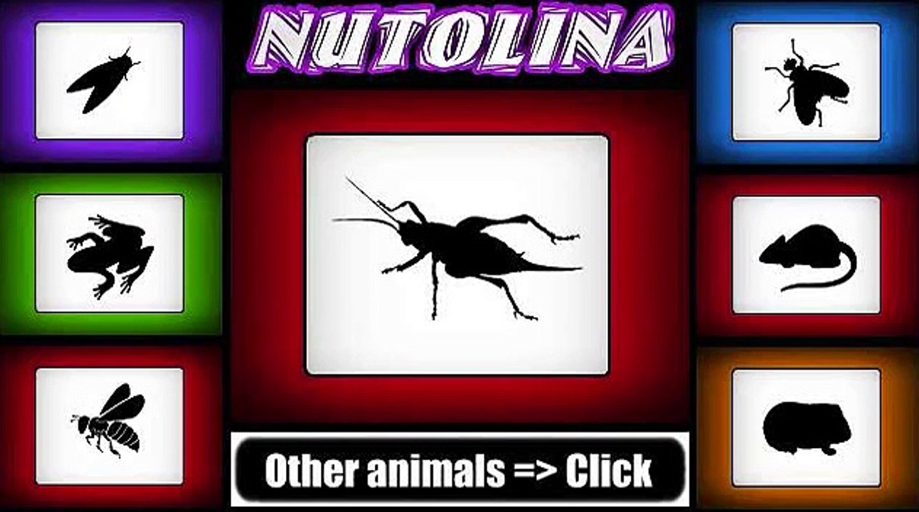 Cricket sound - Cricket sound effect - Cricket sounds