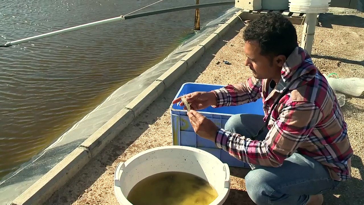 Why is aquaculture certification important?