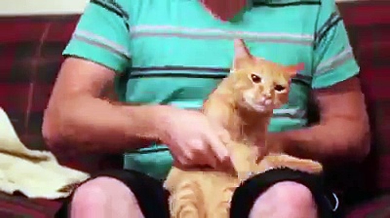 QUAND MINOU DROP THE BASS