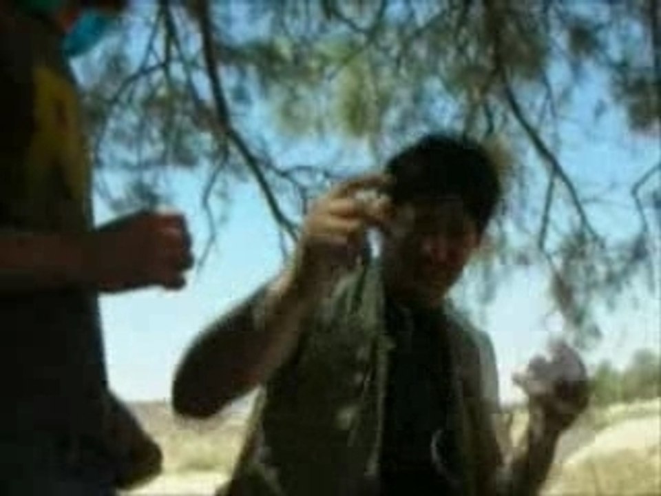 voyage sahara algerie