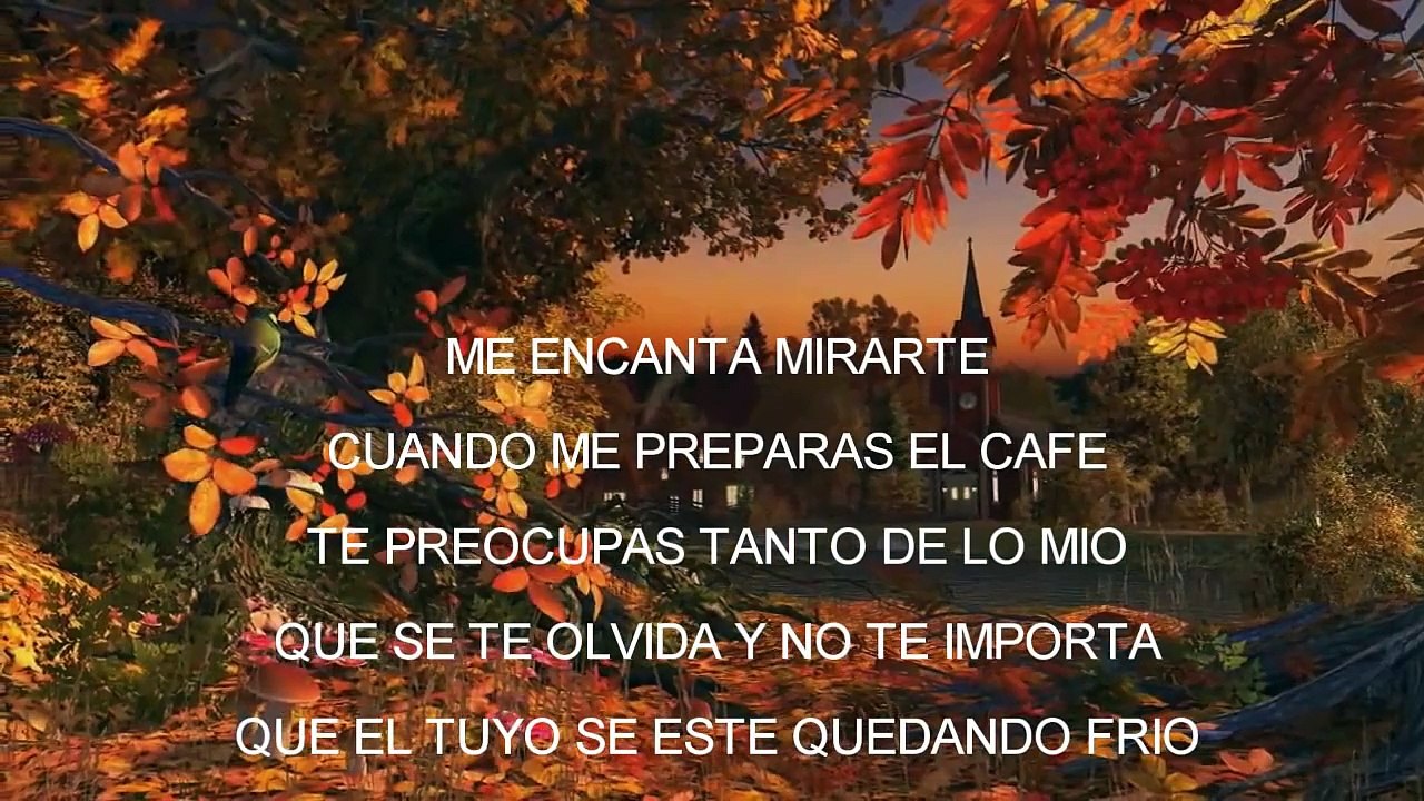 No Sabes Cuanto Te Quiero