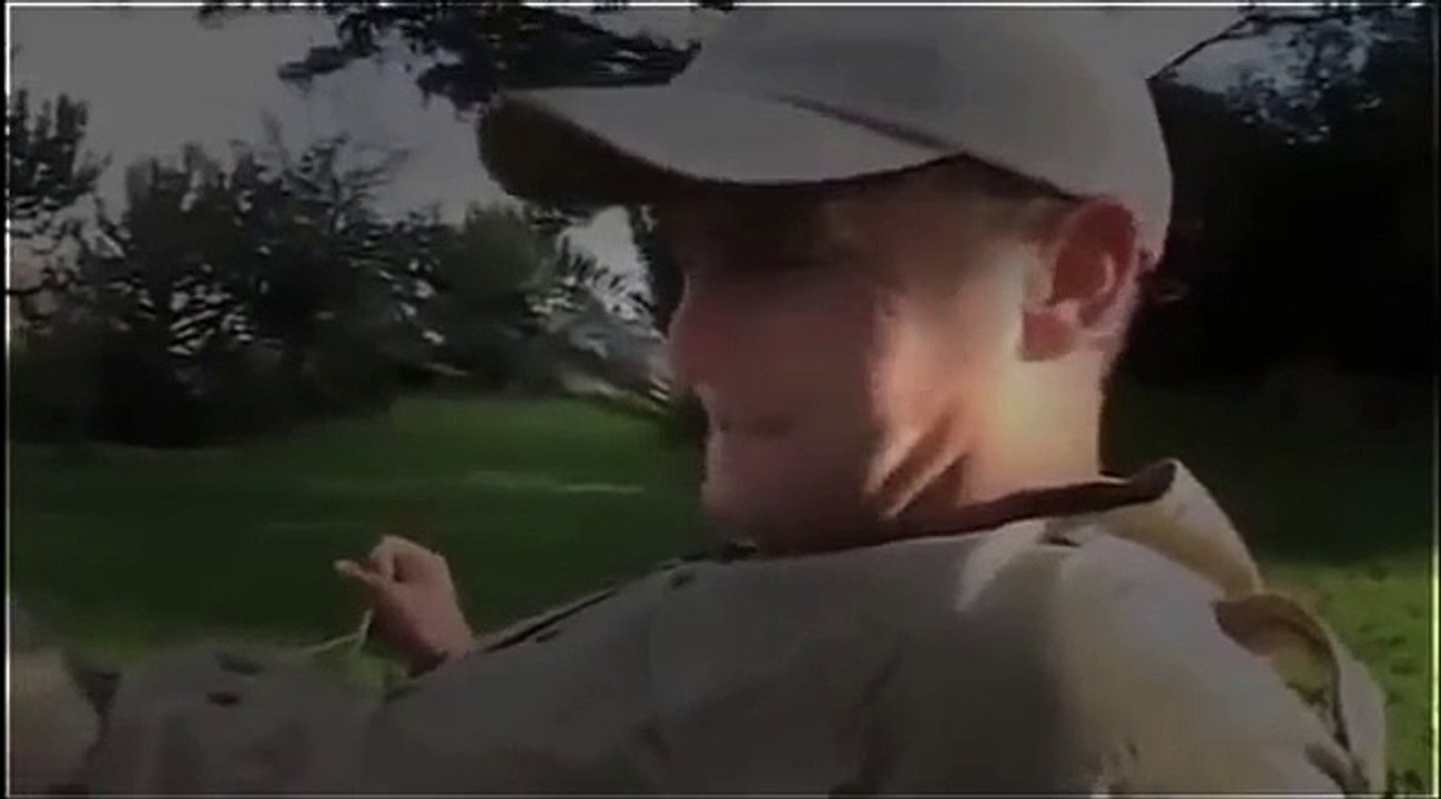 Animal Documentary : Amazingly Cheetah Full Documentary