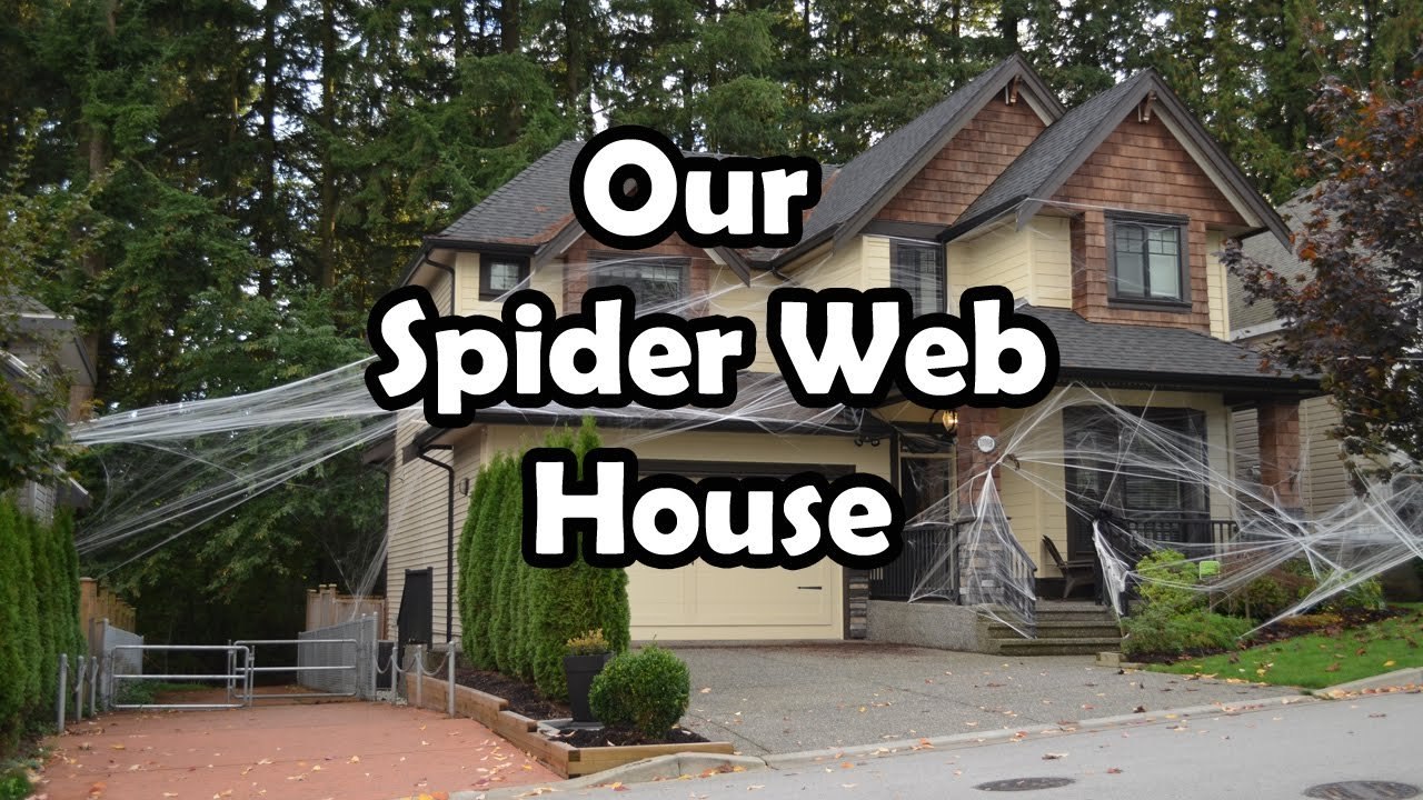 Halloween Spider Web House Decorations - Bethany G