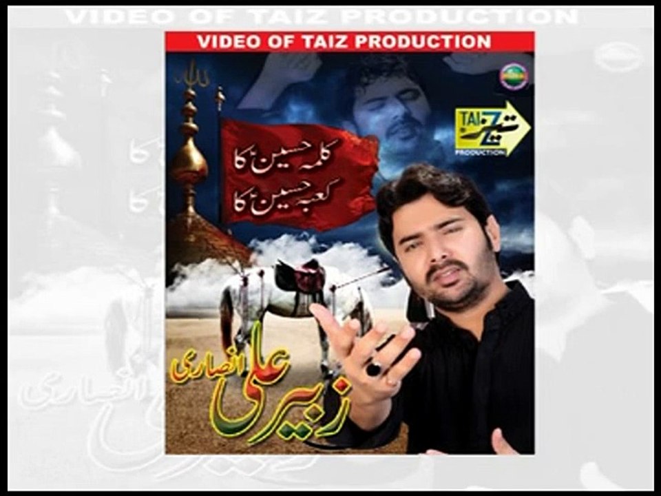 zubair ali ansari 2014