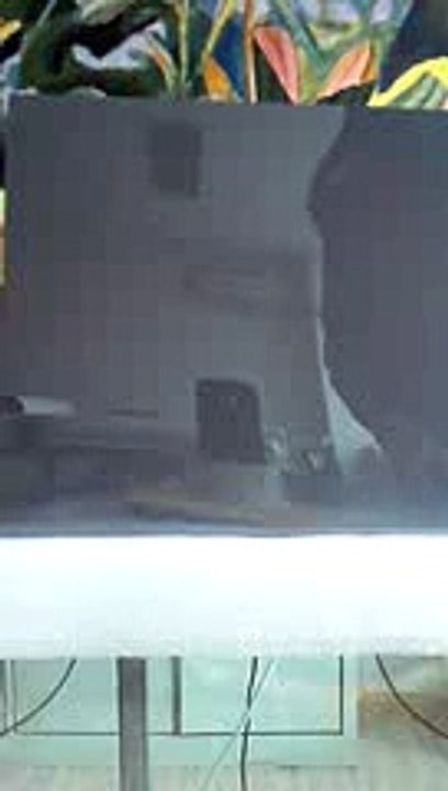 black color smart film china/pdlc film/switchable film/electric film/self adhesive pdlc film/EB GLASS BRAND/Privacy film