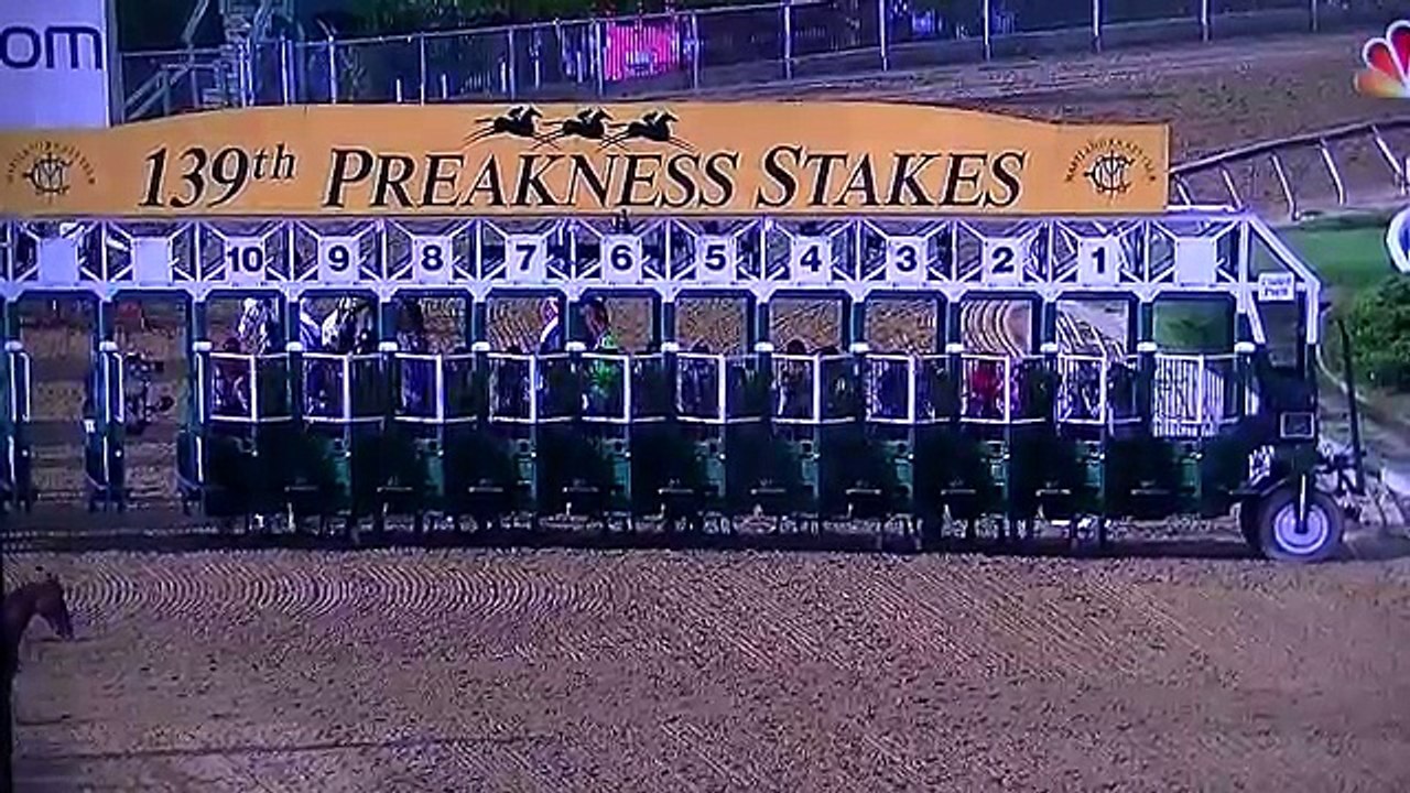 special horse something special