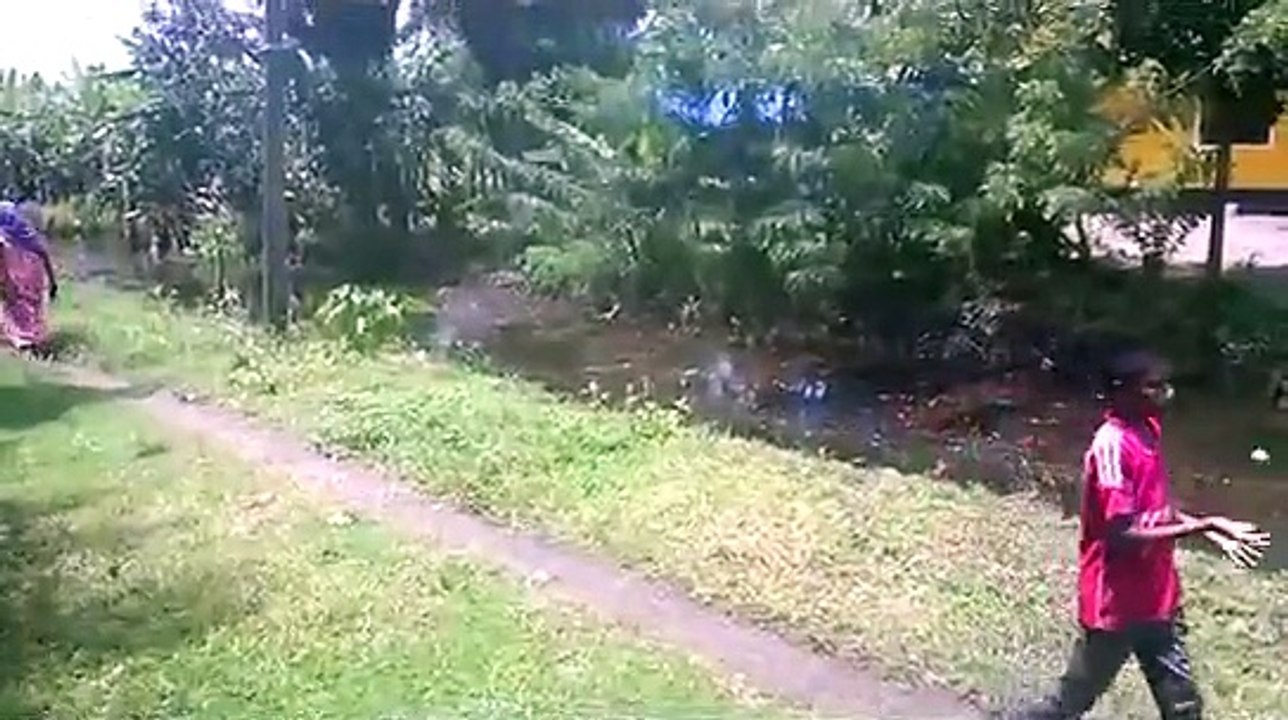 malayalam shortfilm pacha pathu malayalam short film malayalam short film