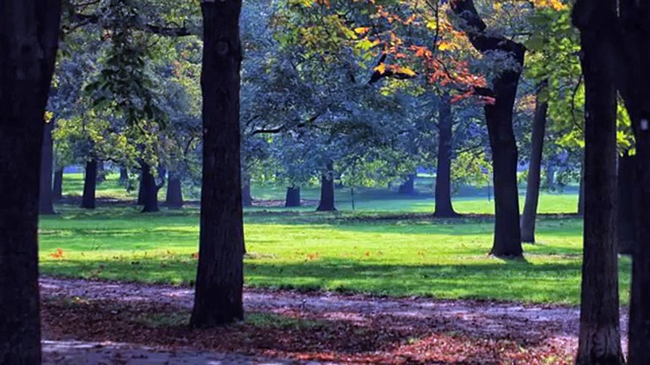 Mein Film Classic Klavier