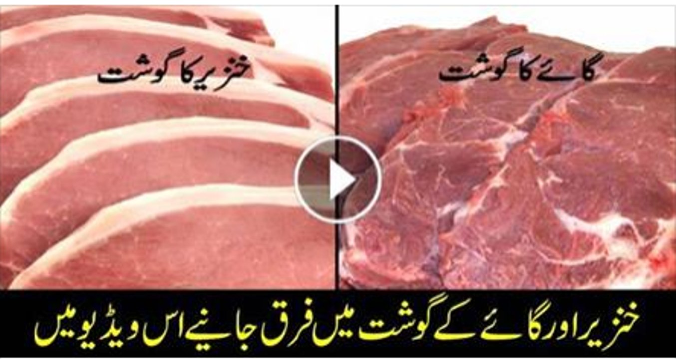What is the Difference Between Pig & Cow's Meat