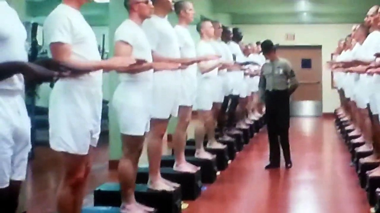 What is that wtf is that