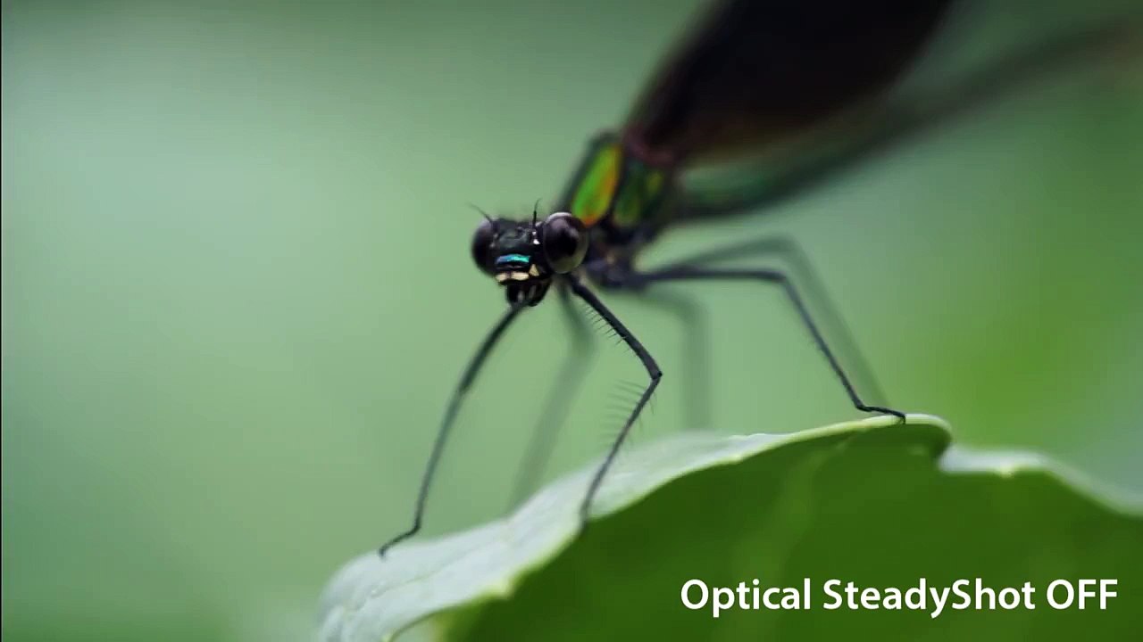 FE-90mm-F2.8-MACRO-G-OSS-OSS-OFF