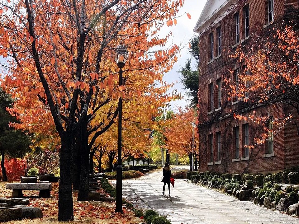 K-pop: The Global Phenomenon 🌍