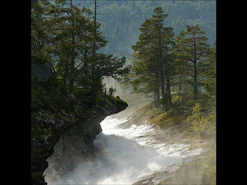 Joseph Goldstein - Concepts