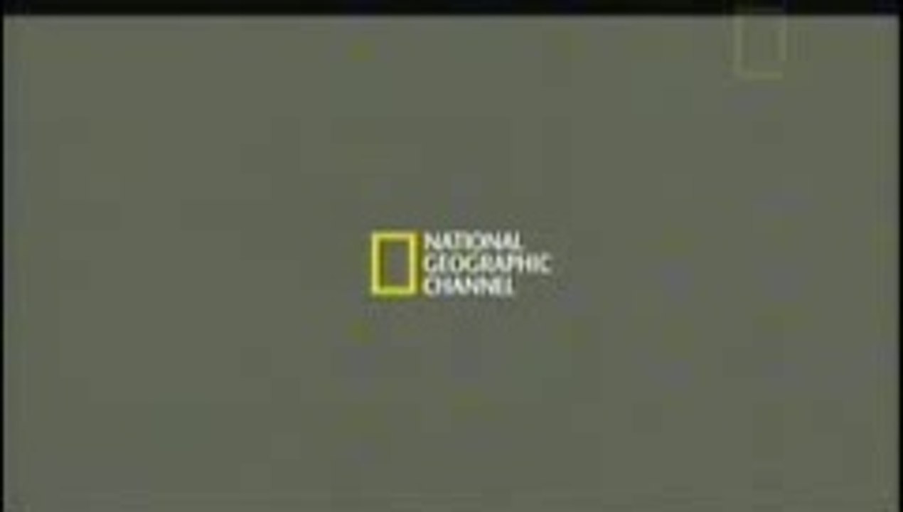 Truques da Mente - Teste o seu Cérebro - Os Mistérios da Memória