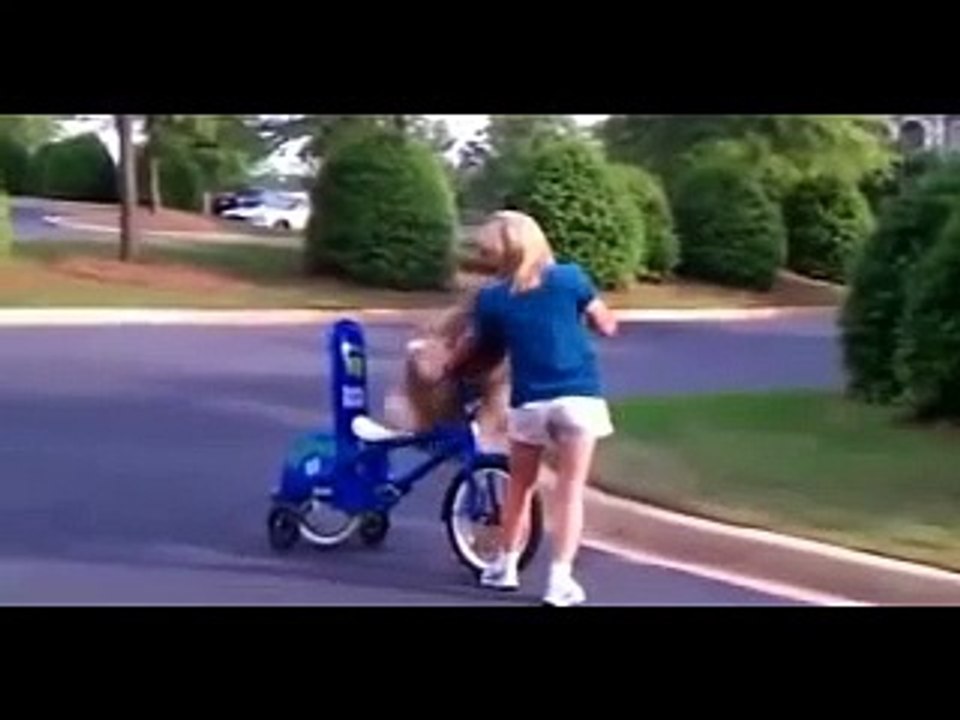 FUNNY ANIMALS 2014  Current  Media Genre