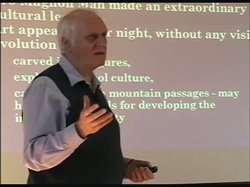 REM state - the origins of culture