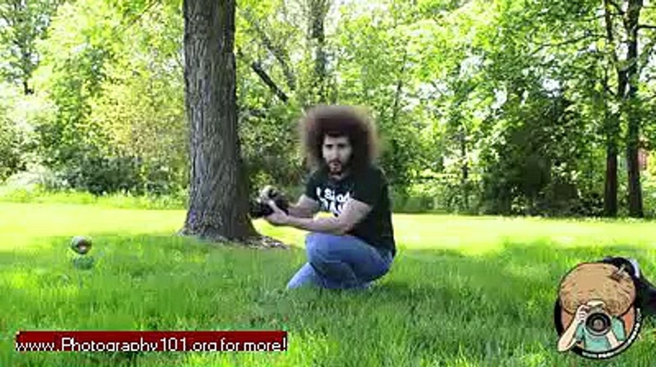 Photography 101 Photography Tutorial - Basics of Composition