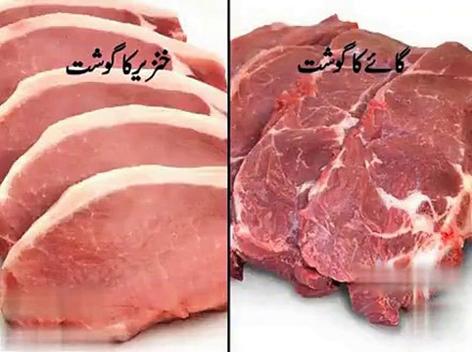 Difference Between Pork and Cow Meat