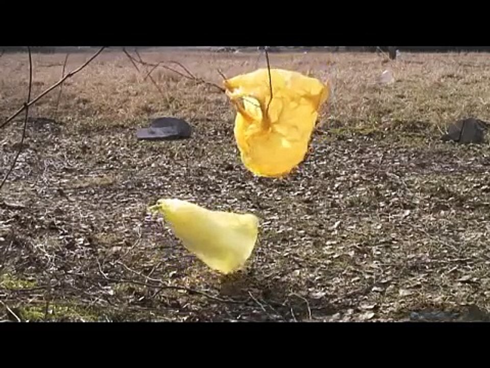 Animate Structures #1