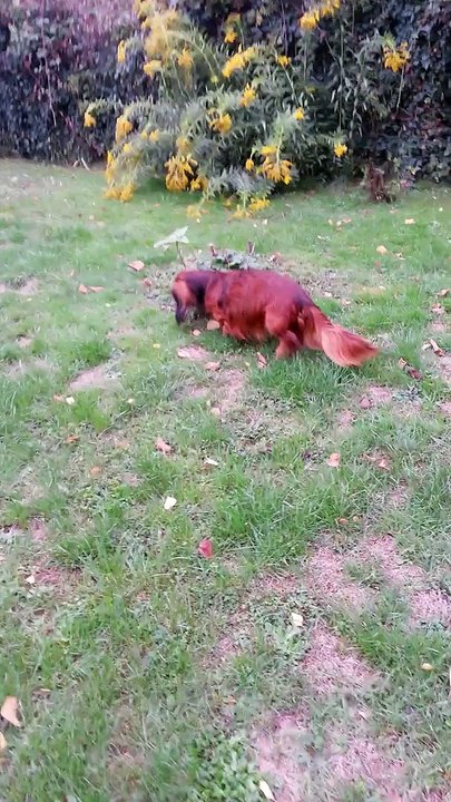 raveur 15 sept 15..15 ans