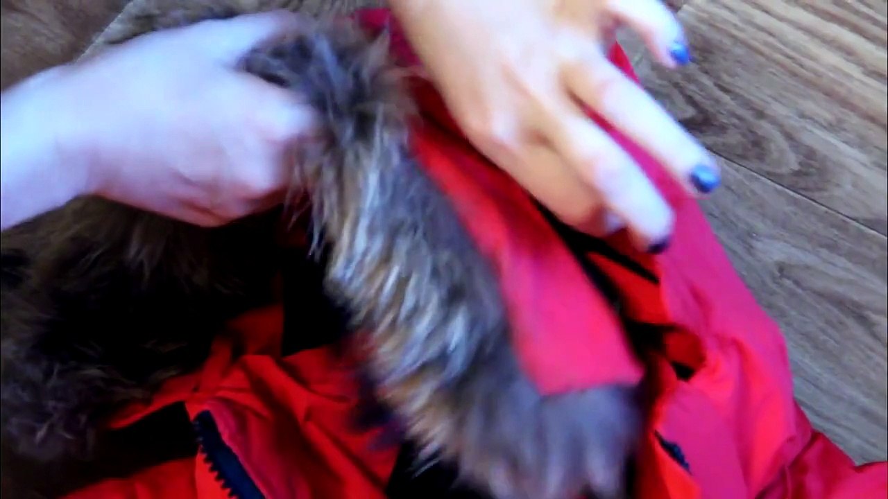 canada goose vest,canada goose,canada goose clothing